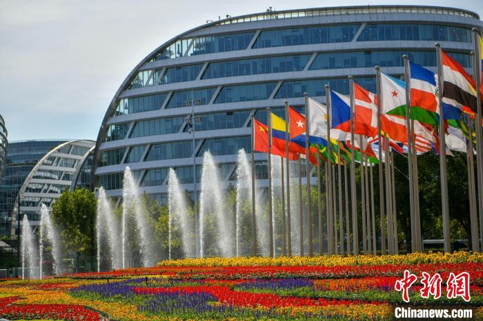 第五屆進(jìn)博會(huì)場(chǎng)館景觀裝飾全面定妝。　陳夢(mèng)澤 攝