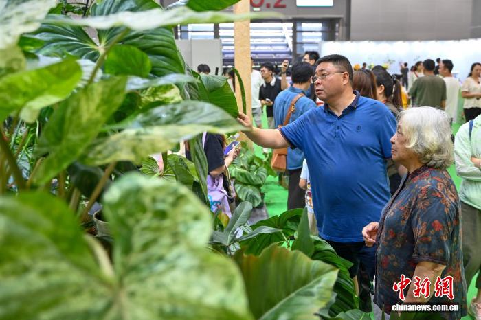 中國新聞網(wǎng)1.jpg